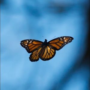 Meet your Posher, Luna